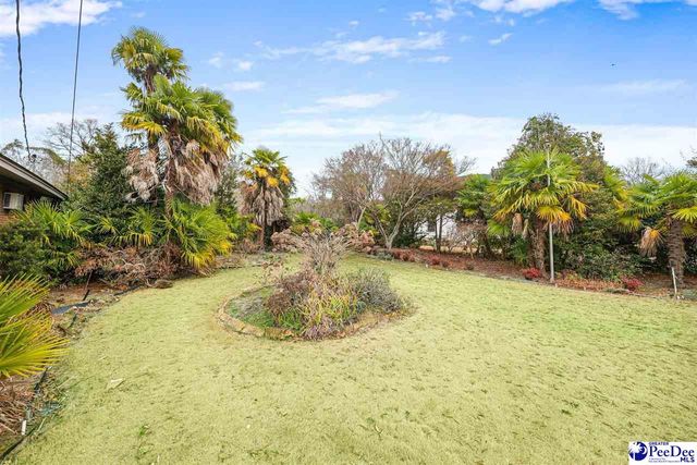 315 Arch Street, Marion, SC 29571