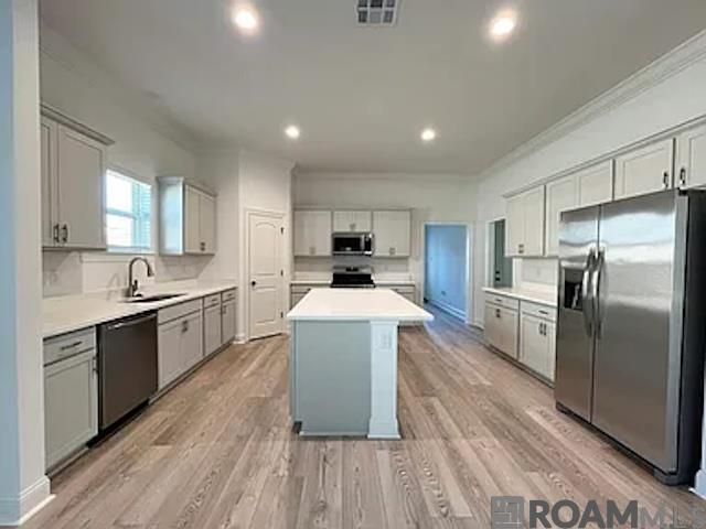 13153 Ducks Landing St, Gonzales, LA 70737