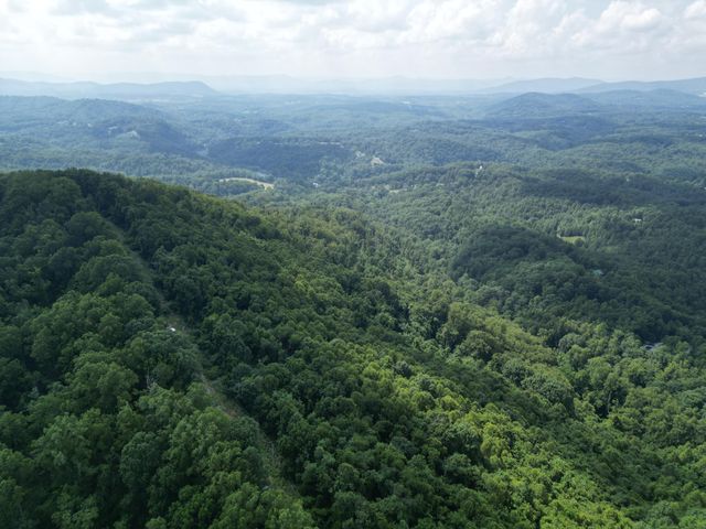 00 WHISPERING HEIGHTS DR, Hardy, VA 24101