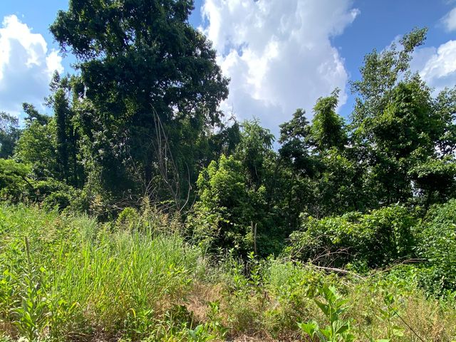 00 WHISPERING HEIGHTS DR, Hardy, VA 24101