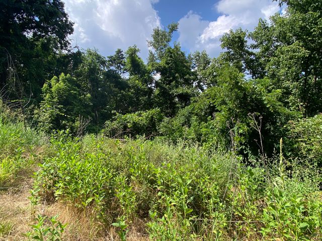 00 WHISPERING HEIGHTS DR, Hardy, VA 24101