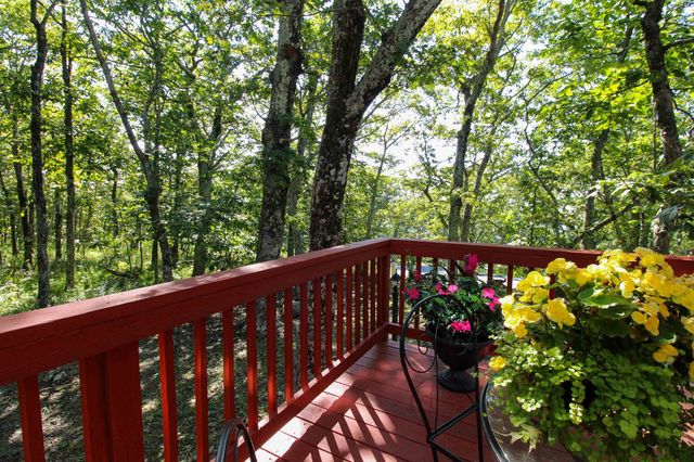 781 DEVILS KNOB LOOP, Wintergreen Resort, VA 22967