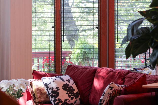 781 DEVILS KNOB LOOP, Wintergreen Resort, VA 22967