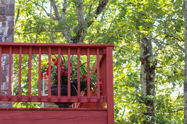 781 DEVILS KNOB LOOP, Wintergreen Resort, VA 22967