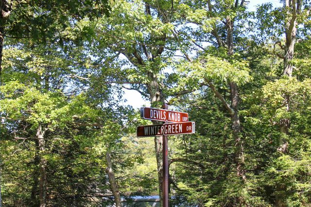 781 DEVILS KNOB LOOP, Wintergreen Resort, VA 22967