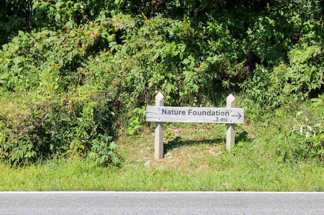 781 DEVILS KNOB LOOP, Wintergreen Resort, VA 22967