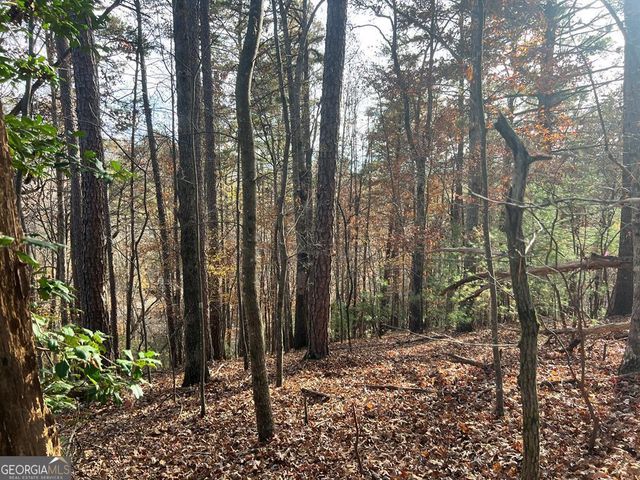 71 Dryad Court, Ellijay, GA 30540