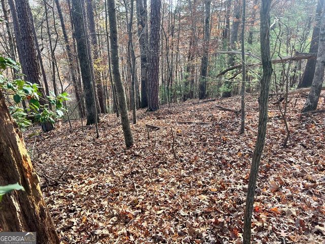 71 Dryad Court, Ellijay, GA 30540