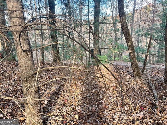 71 Dryad Court, Ellijay, GA 30540