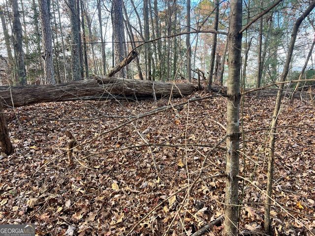 71 Dryad Court, Ellijay, GA 30540