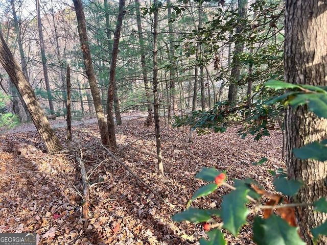 71 Dryad Court, Ellijay, GA 30540