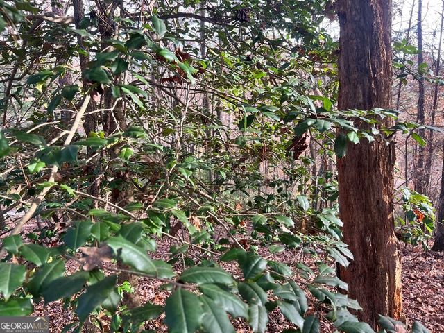 71 Dryad Court, Ellijay, GA 30540