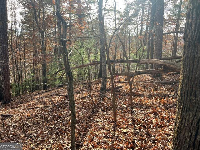 71 Dryad Court, Ellijay, GA 30540