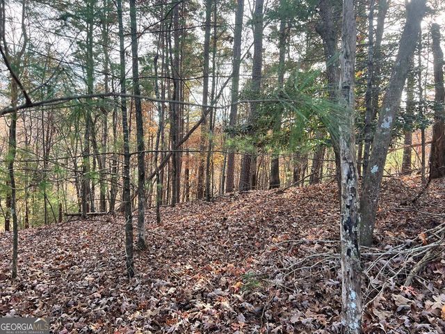 71 Dryad Court, Ellijay, GA 30540