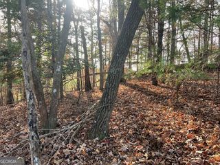 71 Dryad Court, Ellijay, GA 30540