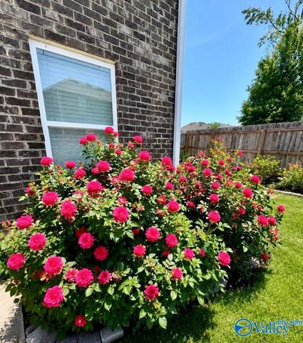 2410 Bluff Haven Lane, Hokes Bluff, AL 35903
