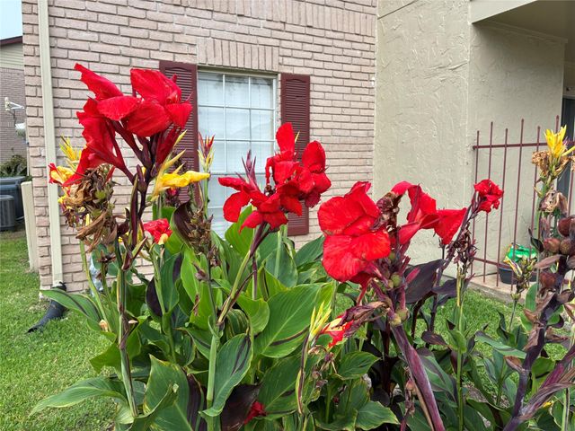 2120 El Paseo Street 1901, Houston, TX 77054
