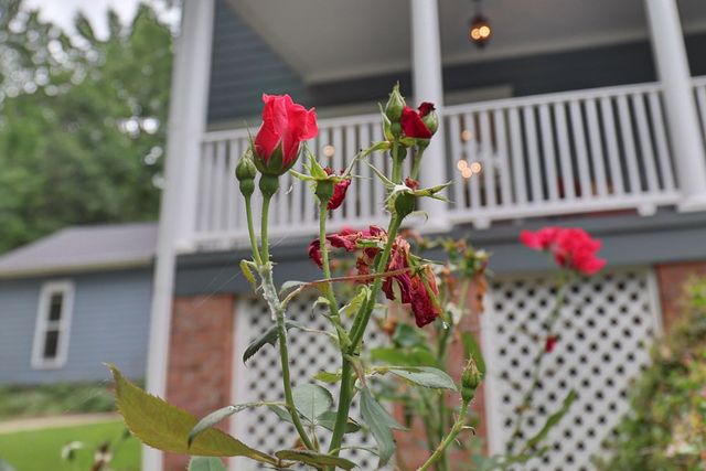 229 Lee Road 0613, Smiths Station, AL 36877