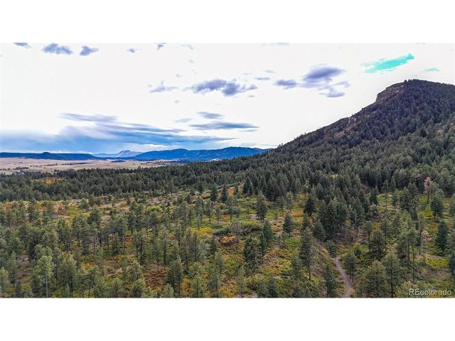 9273 Curtis Rd, Larkspur, CO 80118