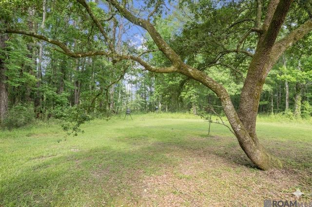 33481 Weiss Rd, Walker, LA 70785