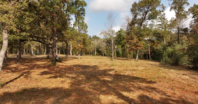 5.3 AC tbd Spring Branch Rd, Montgomery, TX 77316