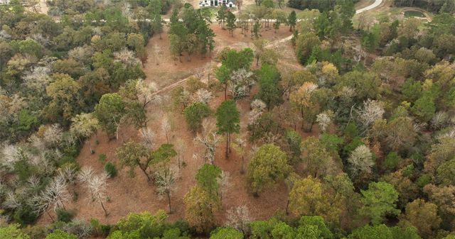 5.3 AC tbd Spring Branch Rd, Montgomery, TX 77316