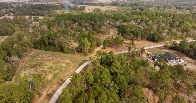5.3 AC tbd Spring Branch Rd, Montgomery, TX 77316