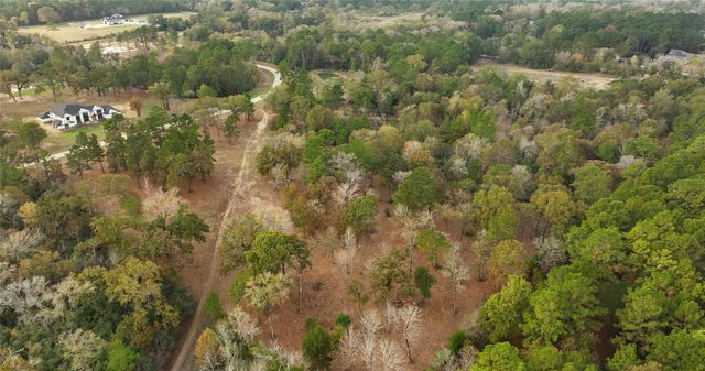 5.3 AC tbd Spring Branch Rd, Montgomery, TX 77316