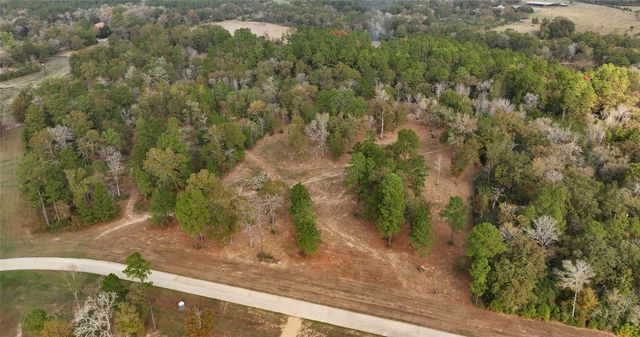 5.3 AC tbd Spring Branch Rd, Montgomery, TX 77316