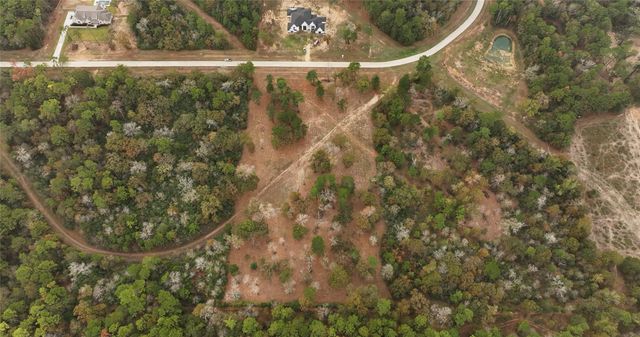 5.3 AC tbd Spring Branch Rd, Montgomery, TX 77316
