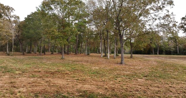 5.3 AC tbd Spring Branch Rd, Montgomery, TX 77316