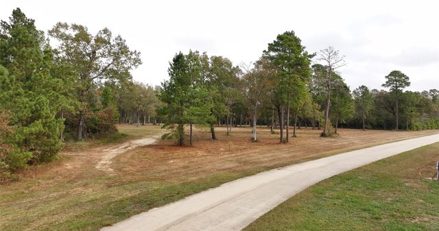 5.3 AC tbd Spring Branch Rd, Montgomery, TX 77316