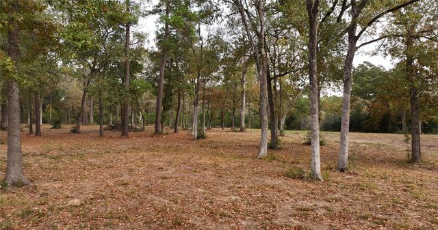 5.3 AC tbd Spring Branch Rd, Montgomery, TX 77316