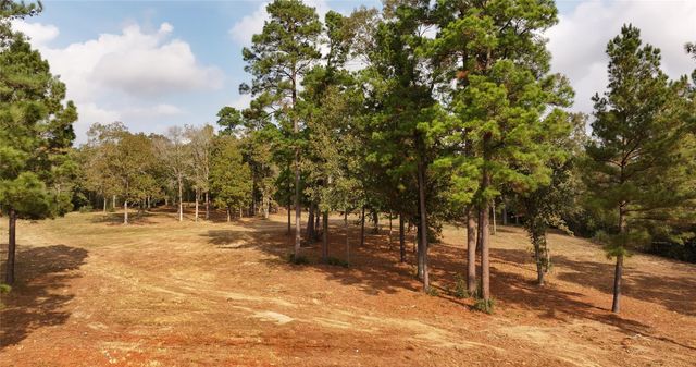 5.3 AC tbd Spring Branch Rd, Montgomery, TX 77316