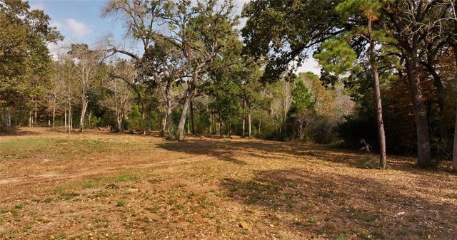 5.3 AC tbd Spring Branch Rd, Montgomery, TX 77316