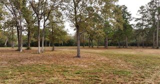 5.3 AC tbd Spring Branch Rd, Montgomery, TX 77316