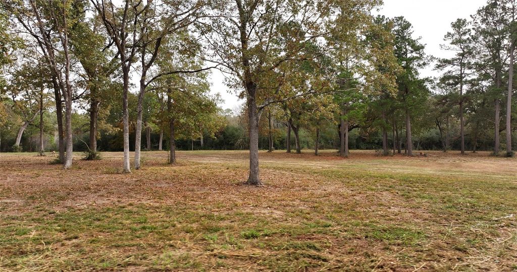 5.3 AC tbd Spring Branch Rd, Montgomery, TX 77316