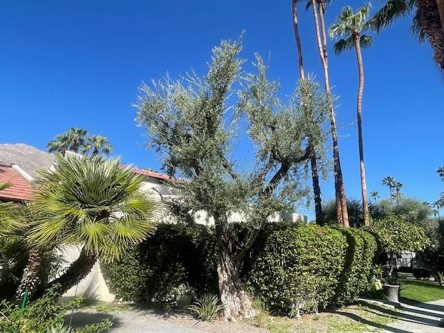 1470 S Camino Real, Palm Springs, CA 92264