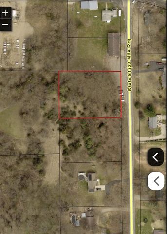 State Street, Albion, MI 49224