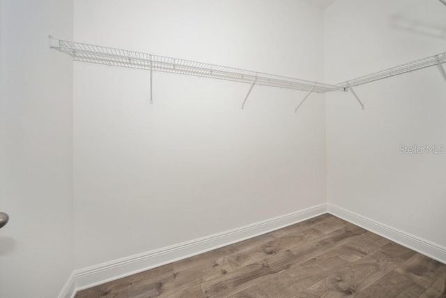 16029 VOLTERRA POINT, Montverde, FL 34756