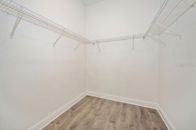 16029 VOLTERRA POINT, Montverde, FL 34756