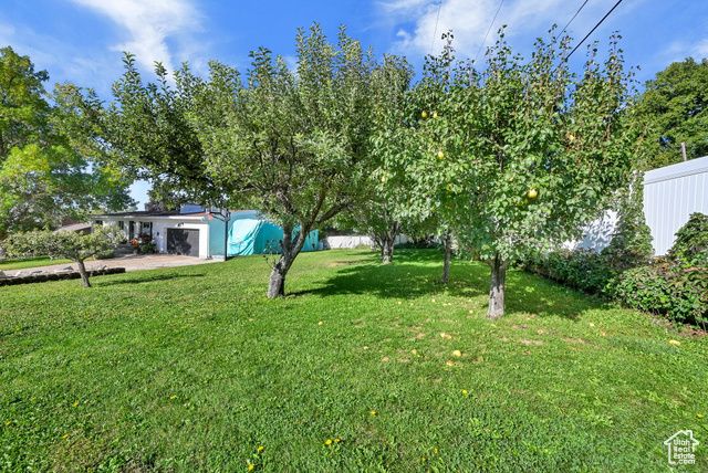 3875 N 1000 W, Pleasant View, UT 84414