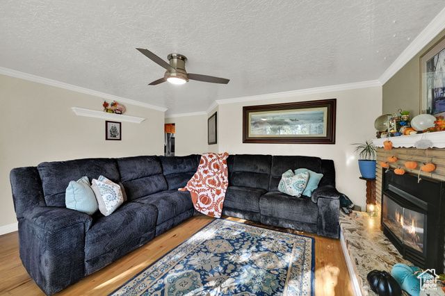 3875 N 1000 W, Pleasant View, UT 84414