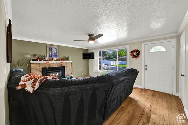 3875 N 1000 W, Pleasant View, UT 84414