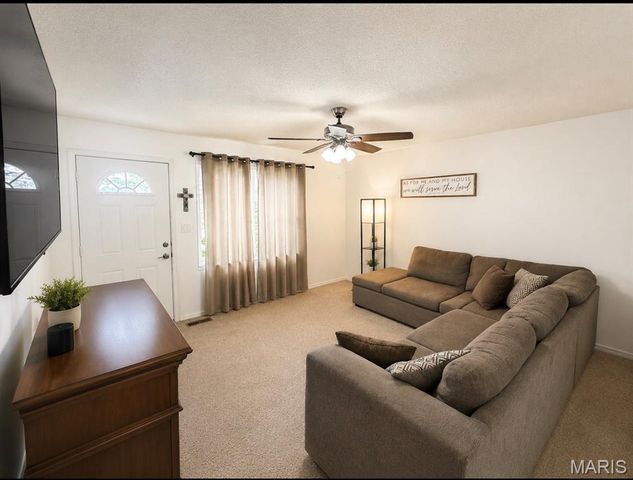 907 Tyler Street, Park Hills, MO 63601