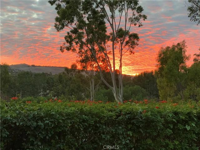 40 Morning View, Irvine, CA 92603