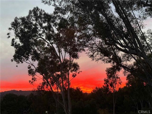 40 Morning View, Irvine, CA 92603