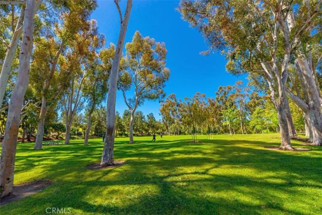40 Morning View, Irvine, CA 92603