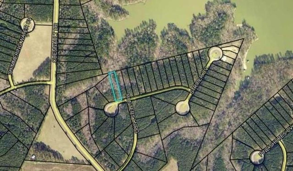 1135 Watersedge Cove, Tignall, GA 30668