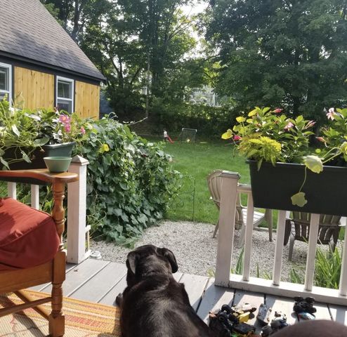 28 Upper Cherry Street, Hardwick, VT 05843